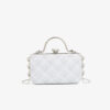 dinner bags woman